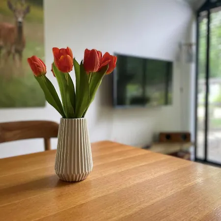 אתר קמפינג Tiny For2 - Kempenbos Diessen