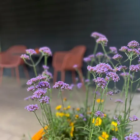 Tiny For2 - Kempenbos * Diessen