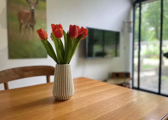 Κάμπινγκ Tiny For2 - Kempenbos Diessen