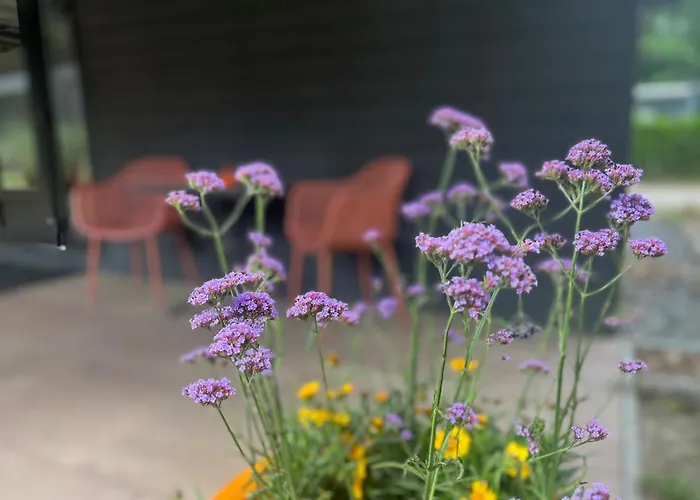 Tiny For2 - Kempenbos * Diessen