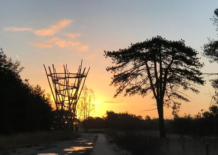 Tiny For2 - Kempenbos *